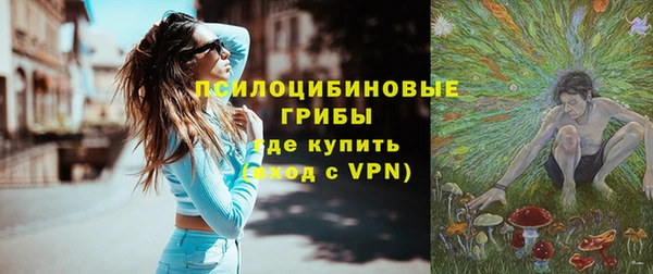 ГАЛЛЮЦИНОГЕННЫЕ ГРИБЫ Алексеевка